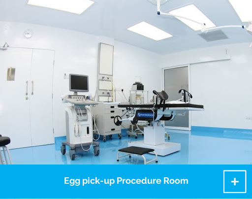 egg-pickup-procedure-room