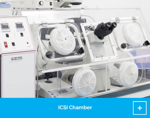 icsi-chamber